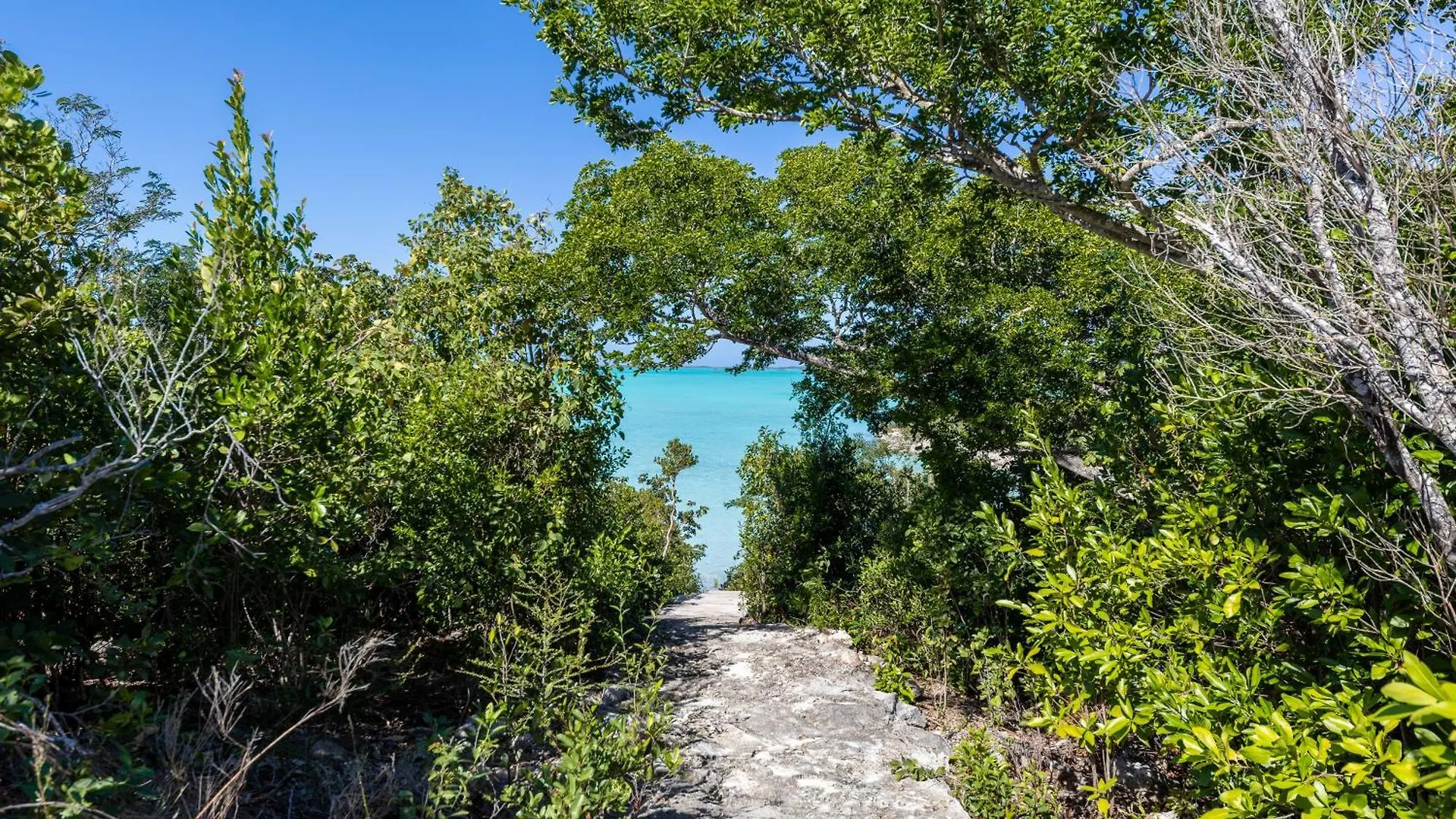 Waterside Home, Shaded Whirlpool Spa, Outdoor Dining, Smart Tv, Amazon Prime Five Cays Settlement